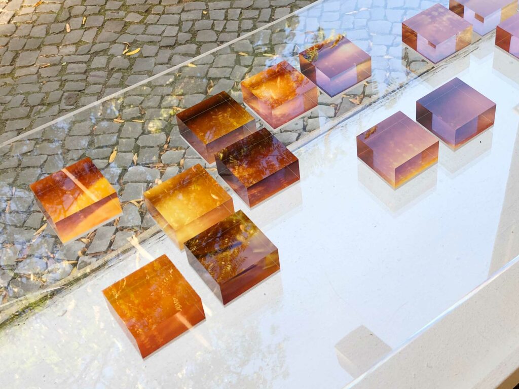 Honiggelee KiraKira, Ausstellungsansicht 1